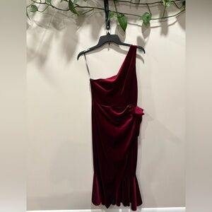 ASOS One-Shoulder Wine Dress